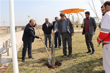 به مناسبت روز درختکاری کاشت نهال توسط مهندس داودی شهردار زیار انجام گرفت