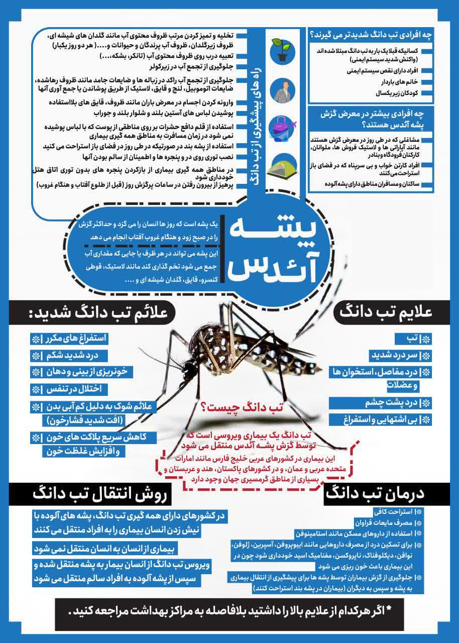 پشه آئدس و بیماری تب دانگی